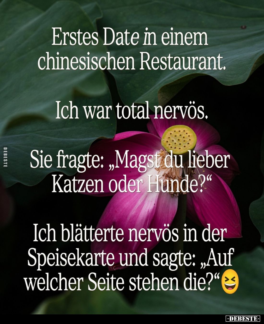 Erstes Date in einem chinesischen Restaurant.
Ich war total nervös.
Sie fragte: „Magst du lieber Katzen oder Hunde?“
Ich b...