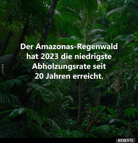 Der Amazonas-Regenwald hat 2023 die niedrigste Abholzungsrate.. - Lustige Bilder | DEBESTE.de