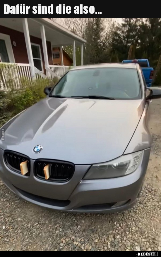 Dafür sind die also..