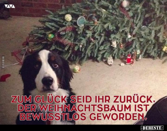 Zum Glück seid ihr zurück. Der Weihnachtsbaum ist.. - Lustige Bilder | DEBESTE.de