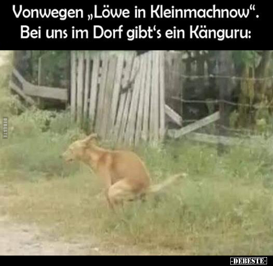 Vonwegen "Löwe in Kleinmachnow"... - Lustige Bilder | DEBESTE.de