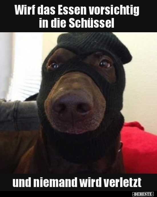 Wirf das Essen vorsichtig in die Schüssel und niemand wird..