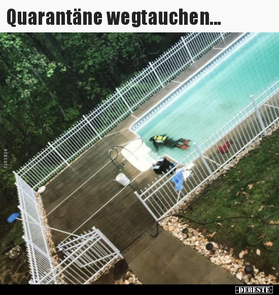 Quarantäne wegtauchen... - Lustige Bilder | DEBESTE.de