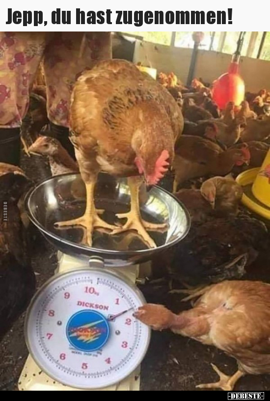 Jepp, du hast zugenommen!..
