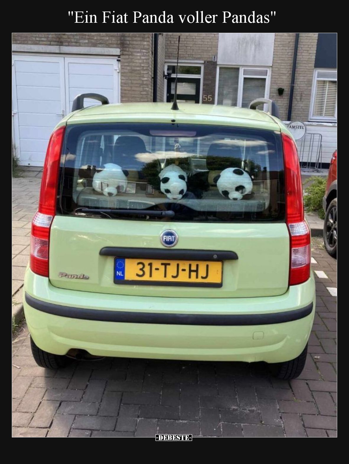 "Ein Fiat Panda voller Pandas"