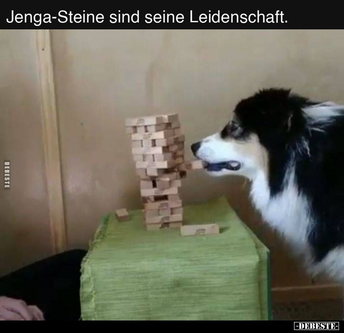 Jenga-Steine sind seine Leidenschaft... - Lustige Bilder | DEBESTE.de
