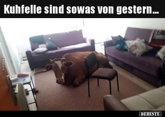 Kuhfelle sind sowas von gestern...