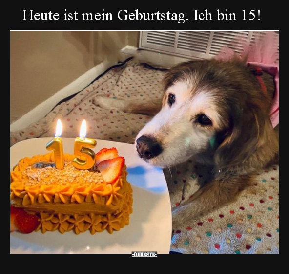 Heute ist mein Geburtstag. Ich bin 15!.. - Lustige Bilder | DEBESTE.de