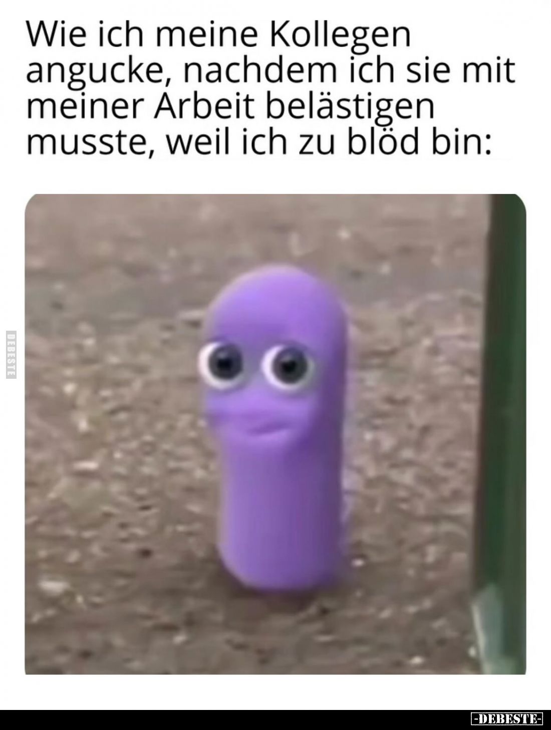 Wie ich meine Kollegen angucke, nachdem ich sie mit meiner Arbeit belästigen musste, weil ich zu blöd bin: