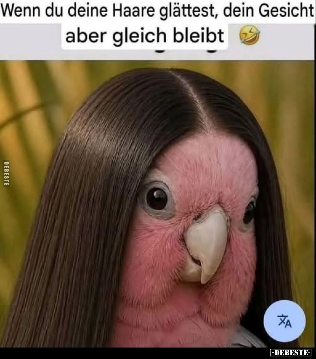 Wenn du deine Haare glättest, dein Gesicht aber gleich bleibt