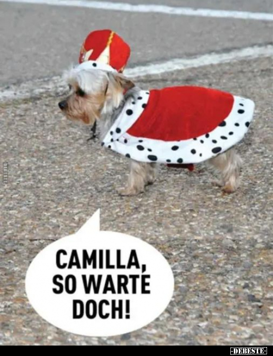 Camilla, so warte doch!