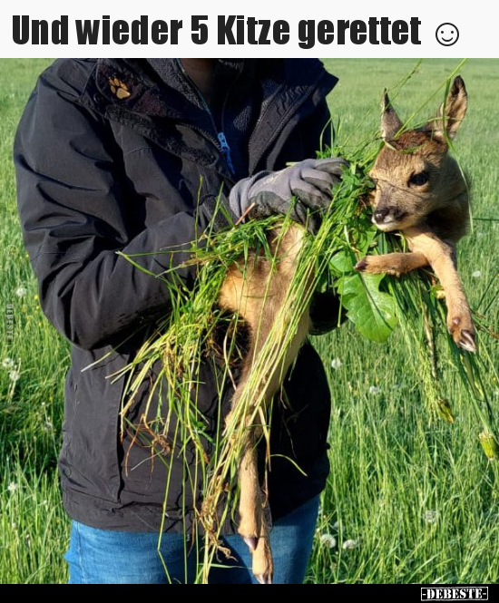 Und wieder 5 Kitze gerettet ☺..