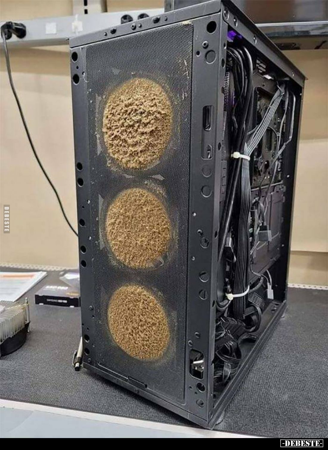  - Lustige Bilder | DEBESTE.de