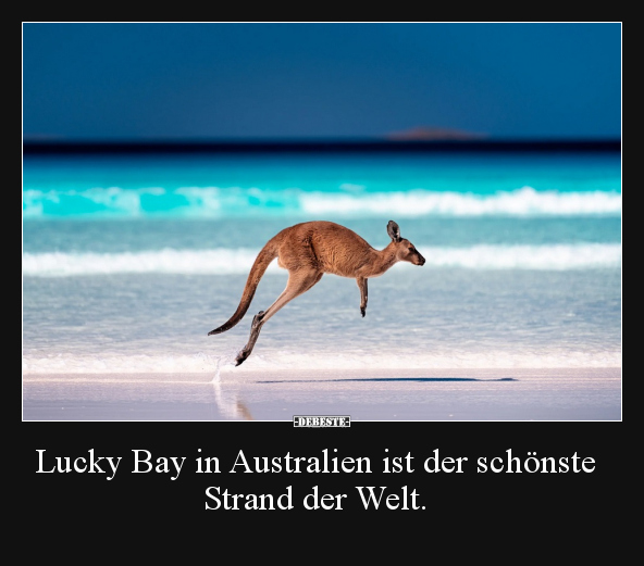 Lucky Bay in Australien ist der schönste Strand der Welt... - Lustige Bilder | DEBESTE.de