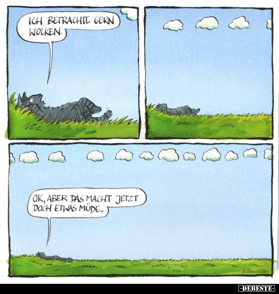 Ich betrachte gern Wolken.

Ok, aber das macht jetzt doch etwas müde.