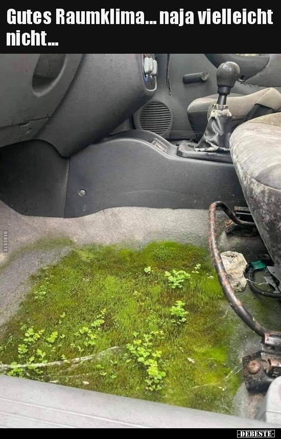 Gutes Raumklima... naja vielleicht nicht