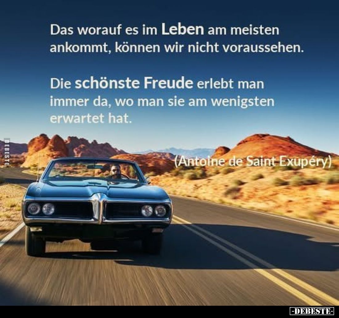 Das worauf es im Leben am meisten ankommt, können wir nicht voraussehen. 
Die schönste Freude erlebt man immer da, wo man si...