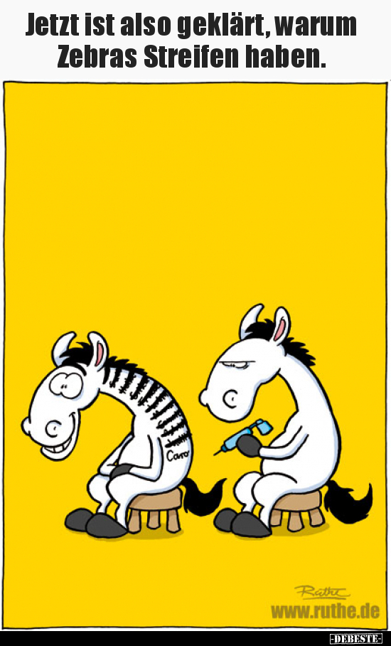 Jetzt ist also geklärt, warum Zebras Streifen haben.. - Lustige Bilder | DEBESTE.de