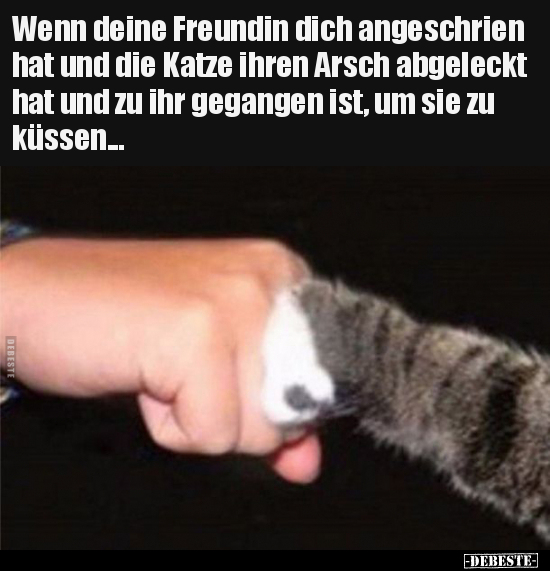 Wenn deine Freundin dich angeschrien hat und die Katze.. - Lustige Bilder | DEBESTE.de