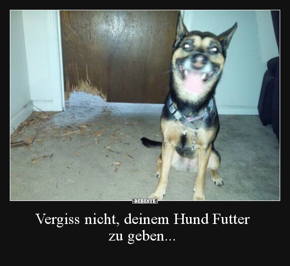 Vergiss nicht, deinem Hund Futter zu geben... - Lustige Bilder | DEBESTE.de
