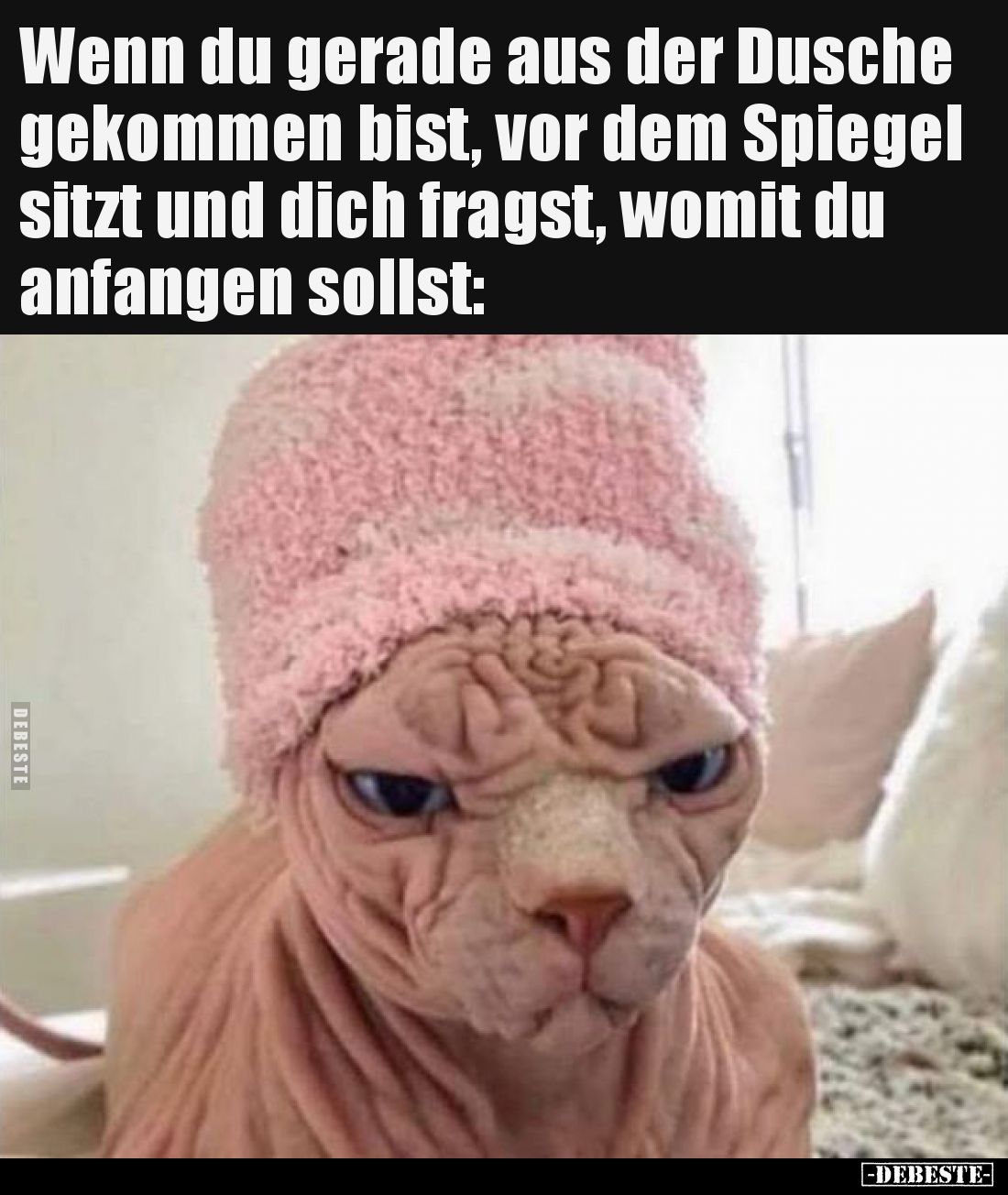Wenn du gerade aus der Dusche gekommen bist, vor dem Spiegel sitzt und dich fragst, womit du anfangen sollst: