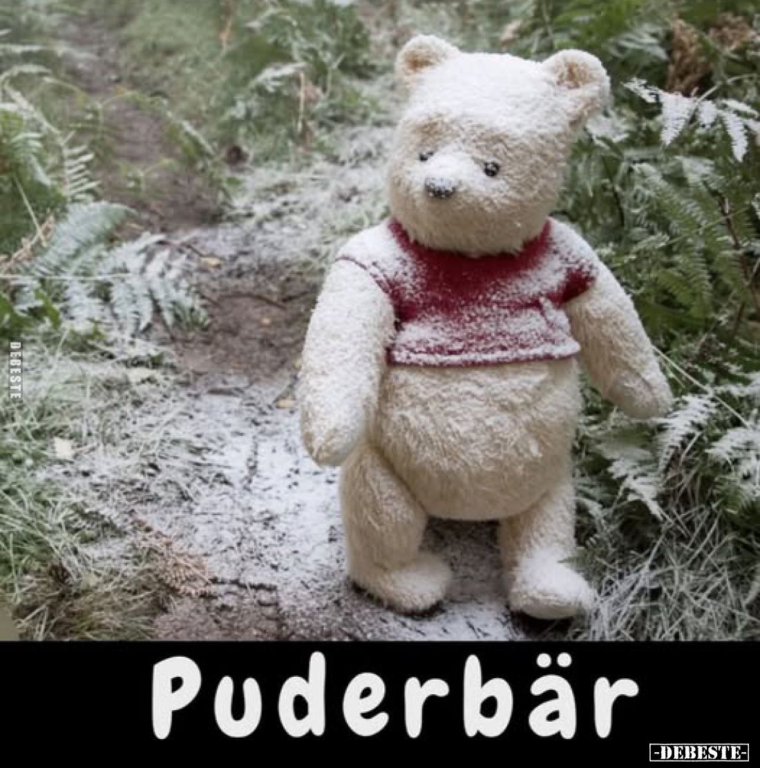 Puderbär.