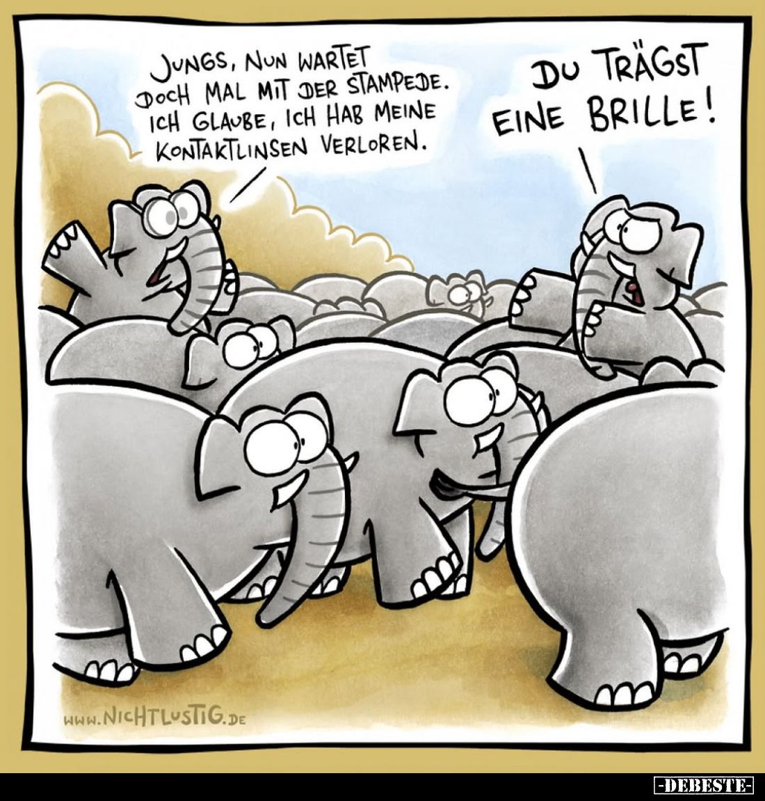 Jungs, nun wartet doch mal mit der Stampede. Ich glaube, ich habe meine Kontaktlinsen verloren.
Du trägst eine Brille!