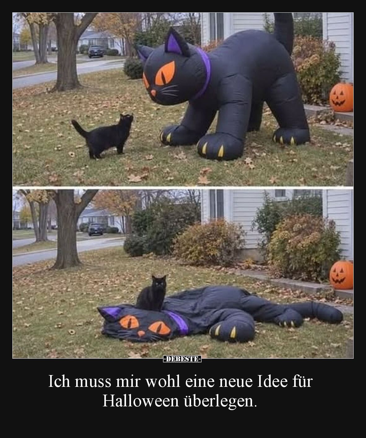 Ich muss mir wohl eine neue Idee für Halloween überlegen.