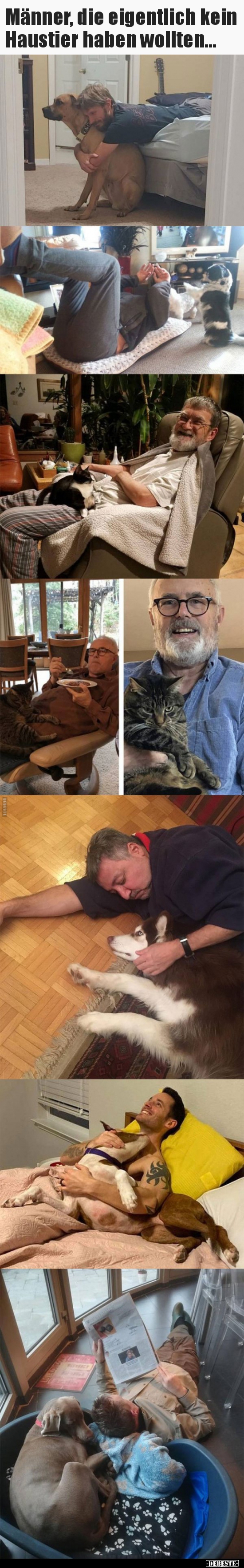 Männer, die eigentlich kein Haustier haben wollten...