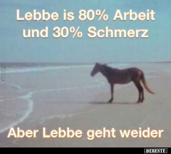 Lebbe is 80% Arbeit und 30% Schmerz.. - Lustige Bilder | DEBESTE.de