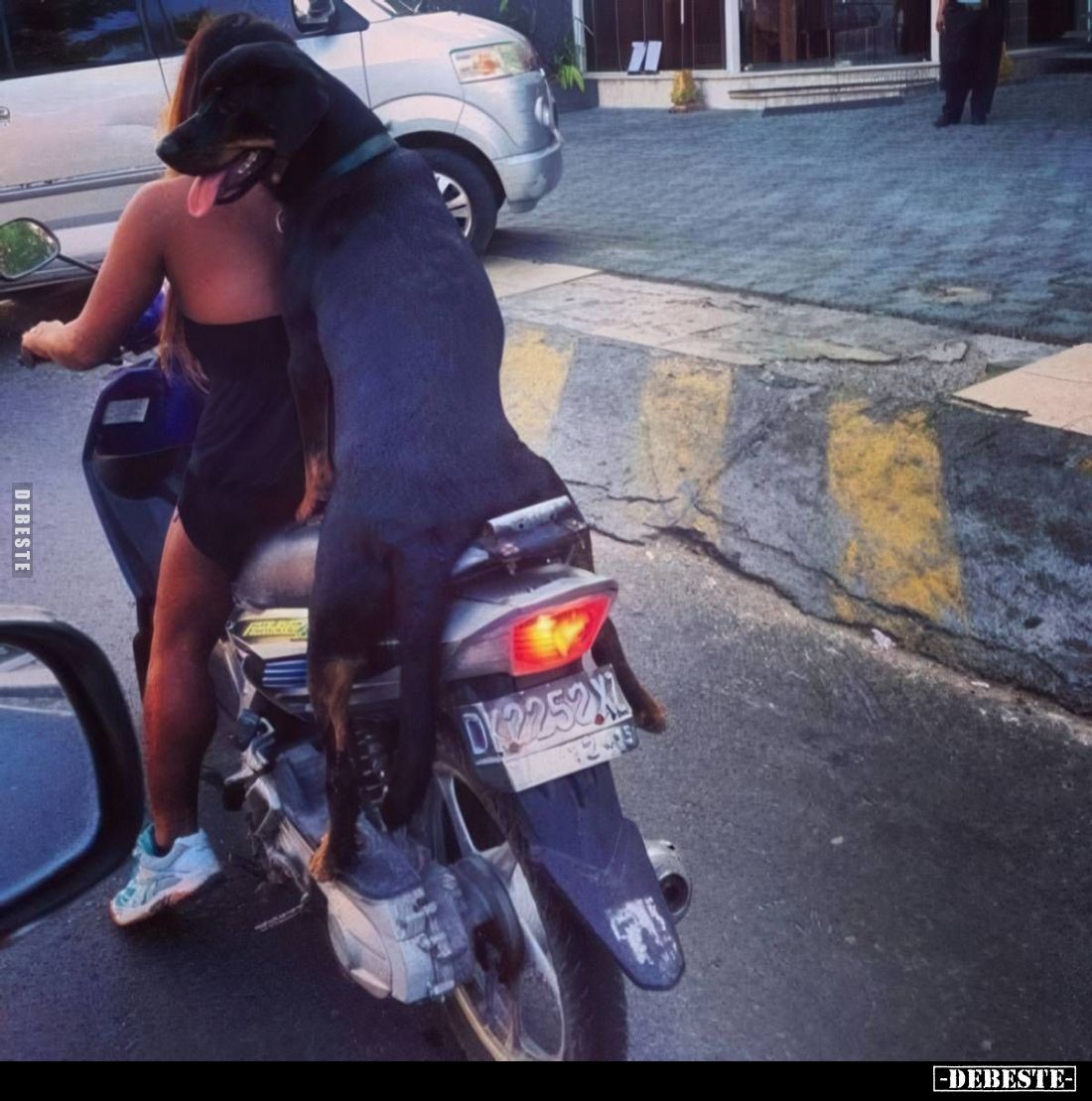  - Lustige Bilder | DEBESTE.de