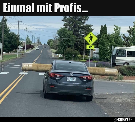 Einmal mit Profis...