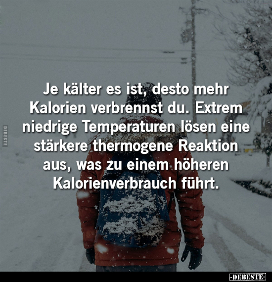 Je kälter es ist, desto mehr Kalorien verbrennst du.. - Lustige Bilder | DEBESTE.de