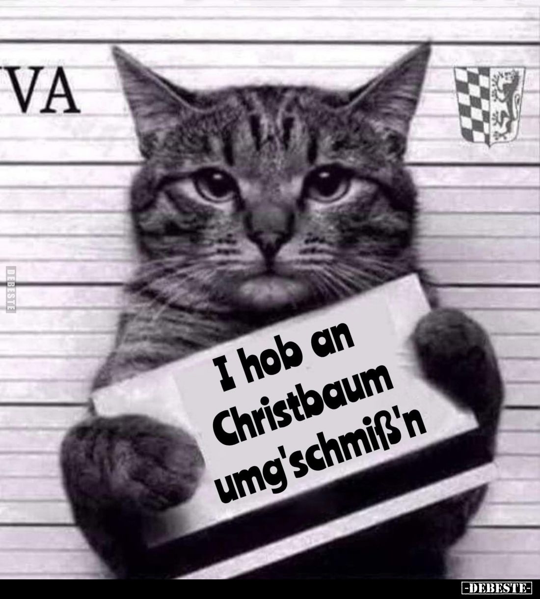 I hob an Christbaum umg'schmiß'n.