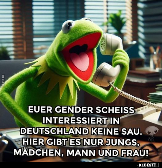 Euer Gender schei*ss interessiert in Deutschland.. - Lustige Bilder | DEBESTE.de
