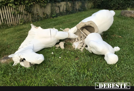  - Lustige Bilder | DEBESTE.de