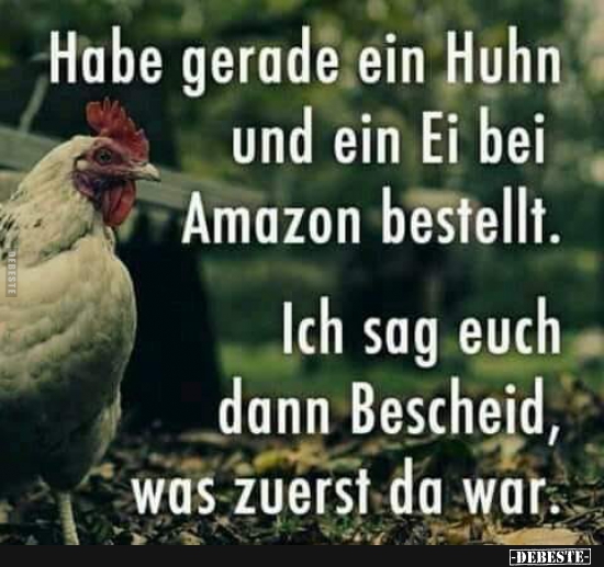 Habe gerade ein Huhn und ein Ei bei Amazon bestellt.. - Lustige Bilder | DEBESTE.de