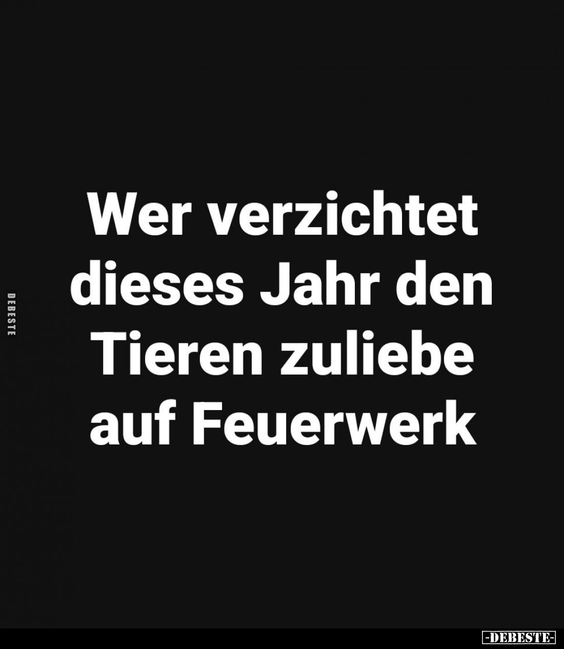 Wer verzichtet dieses Jahr den Tieren zuliebe auf Feuerwerk.
