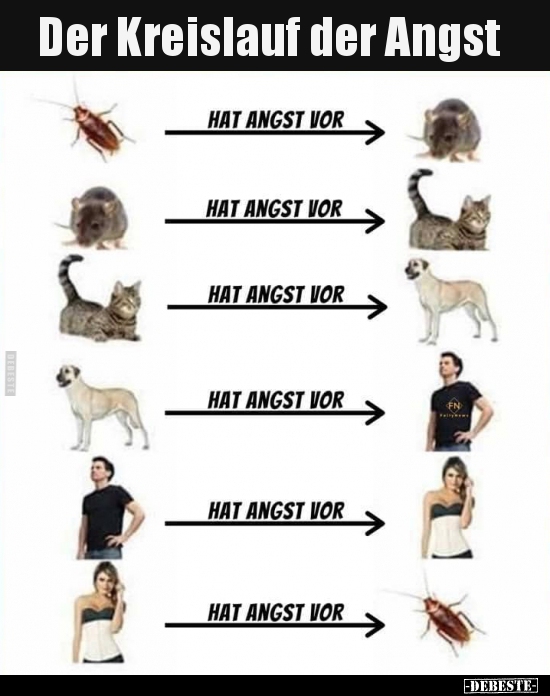 Der Kreislauf der Angst..