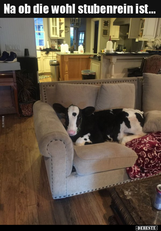 Na ob die wohl stubenrein ist...
