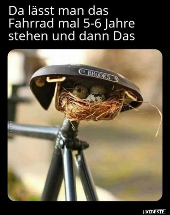 Da lässt man das Fahrrad mal 5-6 Jahre stehen.. - Lustige Bilder | DEBESTE.de