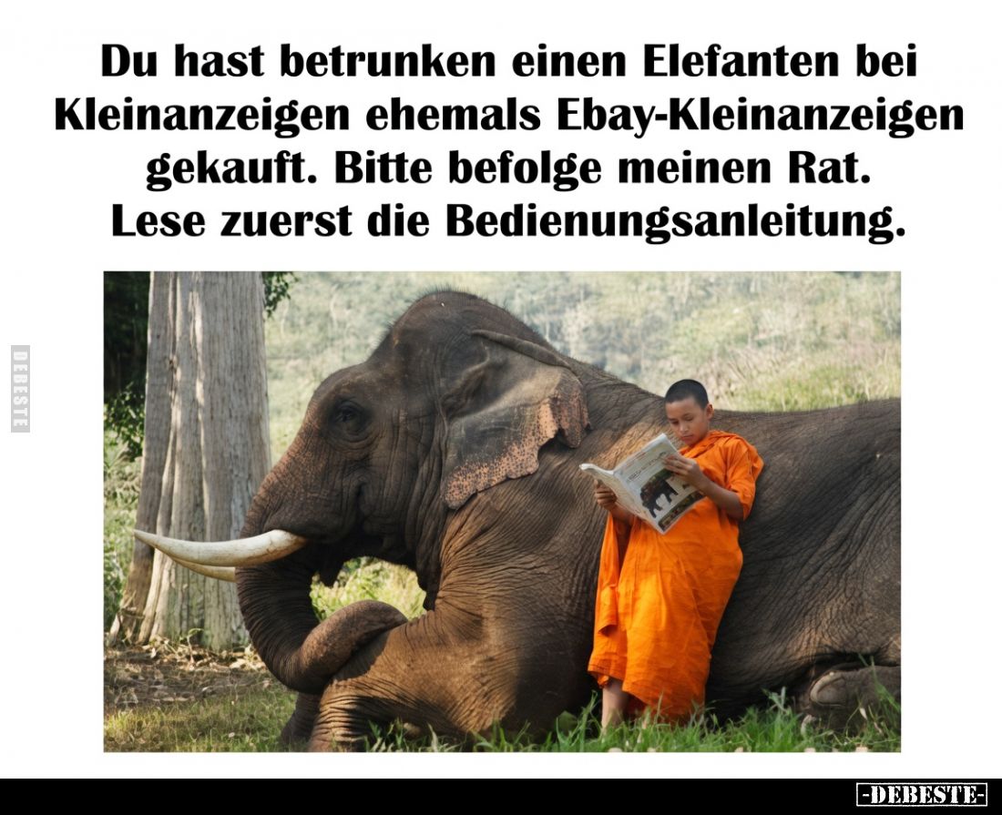 Du hast betrunken einen Elefanten bei Kleinanzeigen ehemals Ebay-Kleinanzeigen gekauft.
Bitte befolge meinen Rat.
Lese zuer...