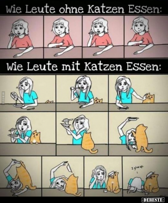 Wie Leute ohne Katzen essen: / Wie Leute mit Katzen.. - Lustige Bilder | DEBESTE.de