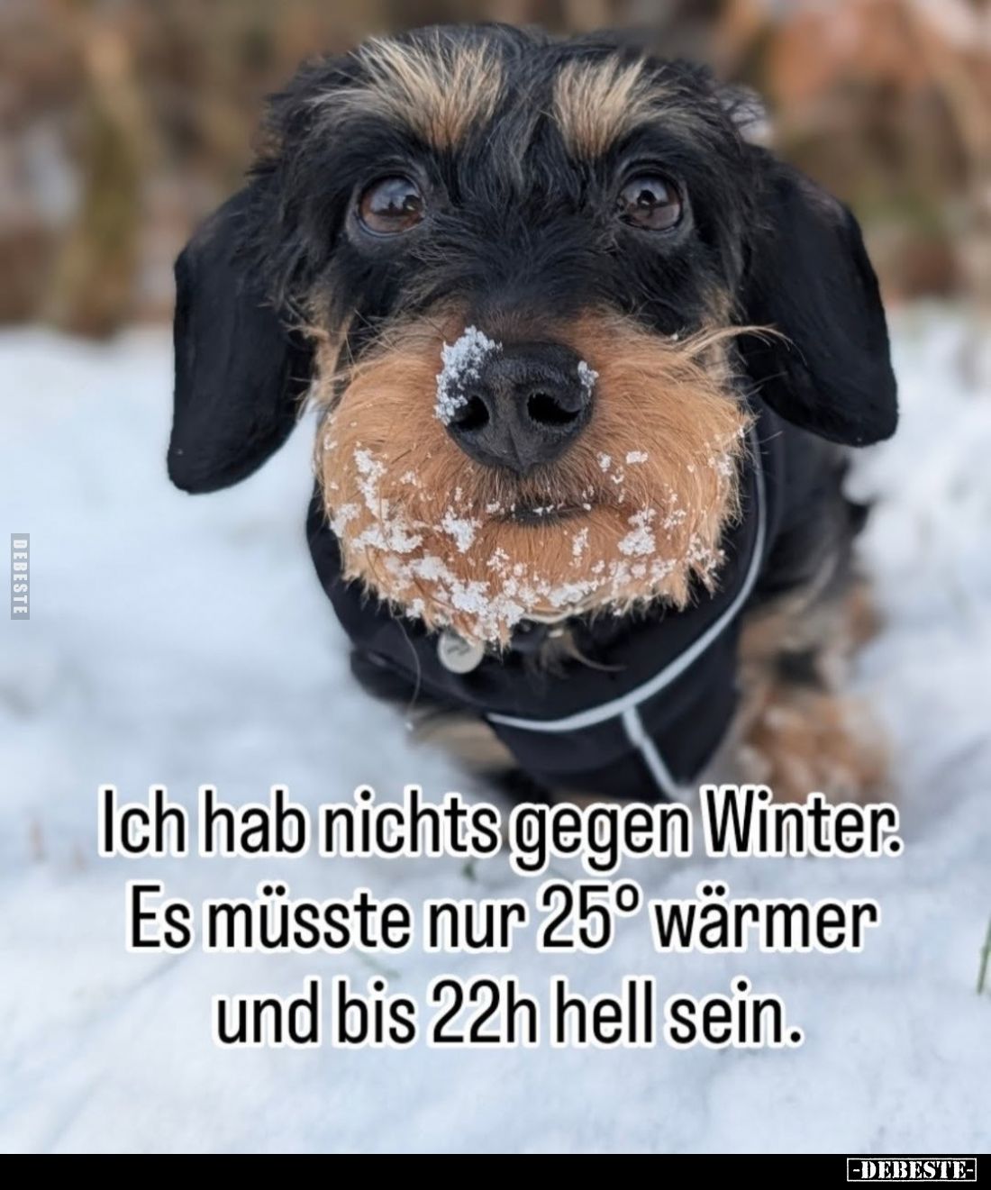 Ich hab nichts gegen Winter.
Es müsste nur 25° wärmer
und bis 22h hell sein.