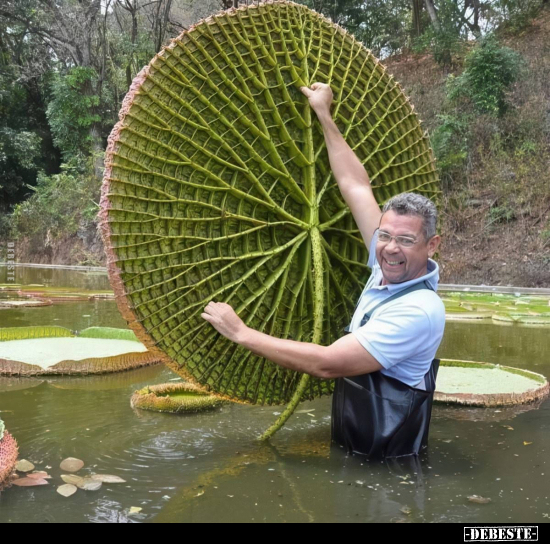  - Lustige Bilder | DEBESTE.de