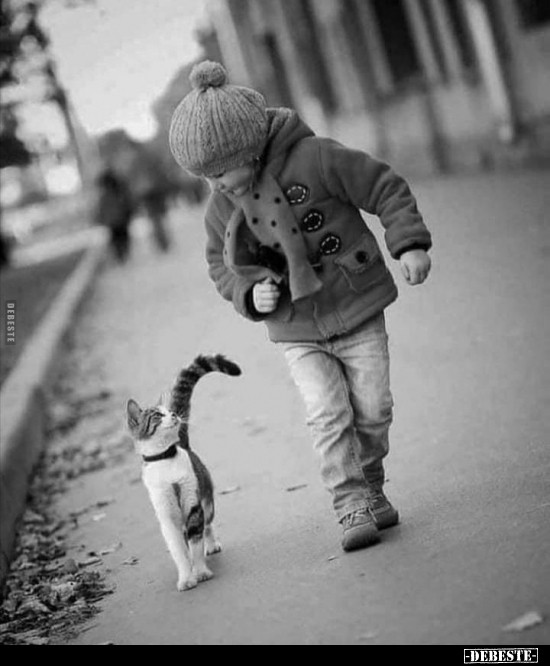  - Lustige Bilder | DEBESTE.de