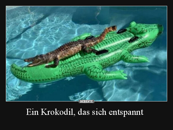 Ein Krokodil, das sich entspannt.. - Lustige Bilder | DEBESTE.de