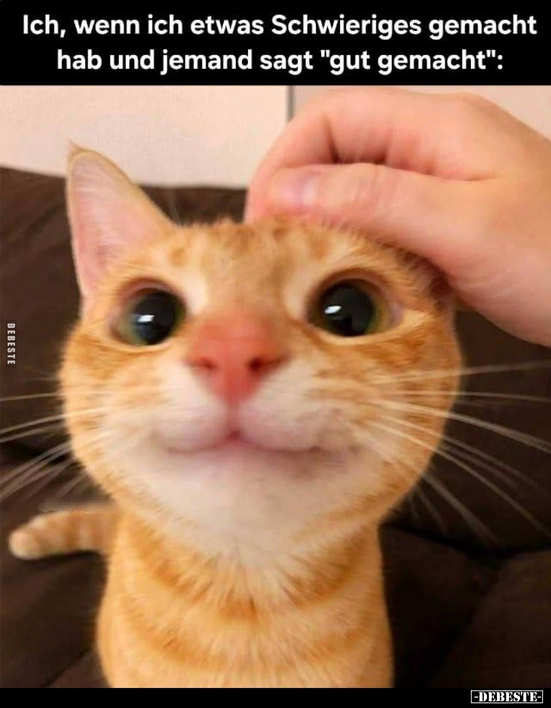 Ich, wenn ich etwas Schwieriges gemacht hab und jemand sagt "gut gemacht":
