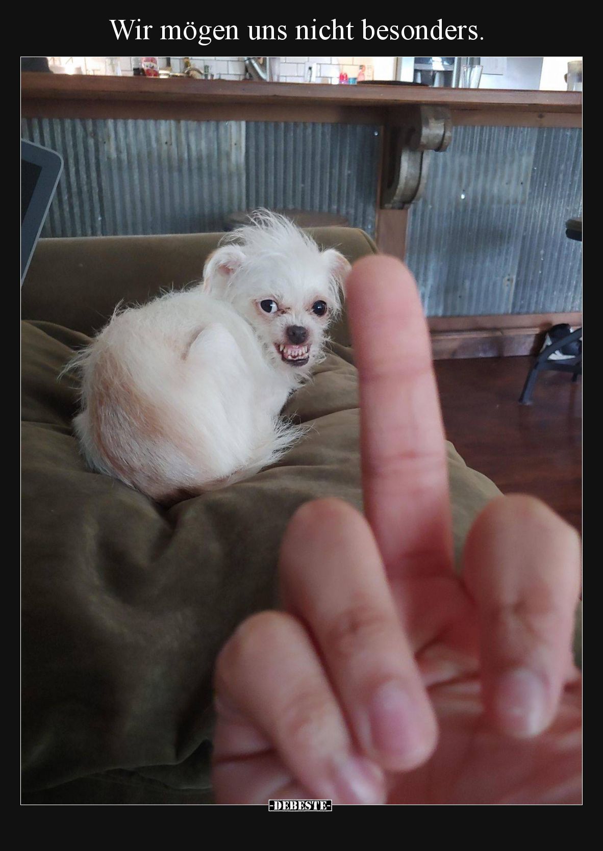 Wir mögen uns nicht besonders.