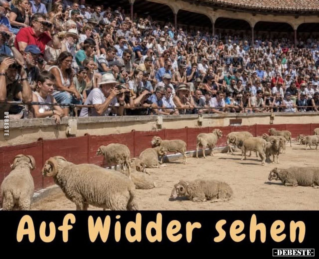 Auf Widder sehen.
